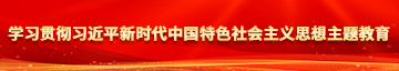 男人插美女视频学习贯彻习近平新时代中国特色社会主义思想主题教育